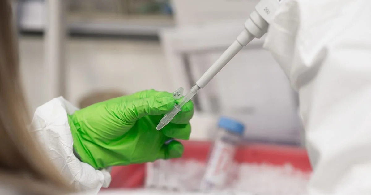 Vacina experimental contra o câncer de pâncreas mostra respostas imunológicas duradouras em fase 1