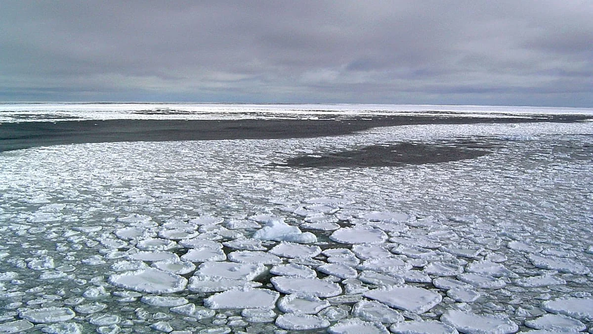 Antártica: microrganismos abissais do Mar de Ross fixam carbono no escuro e mudam balanço oceânico