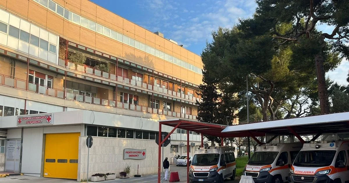 Bari: menina de 6 anos é levada à rianimação após ataque de cachorro de rua em Noicattaro