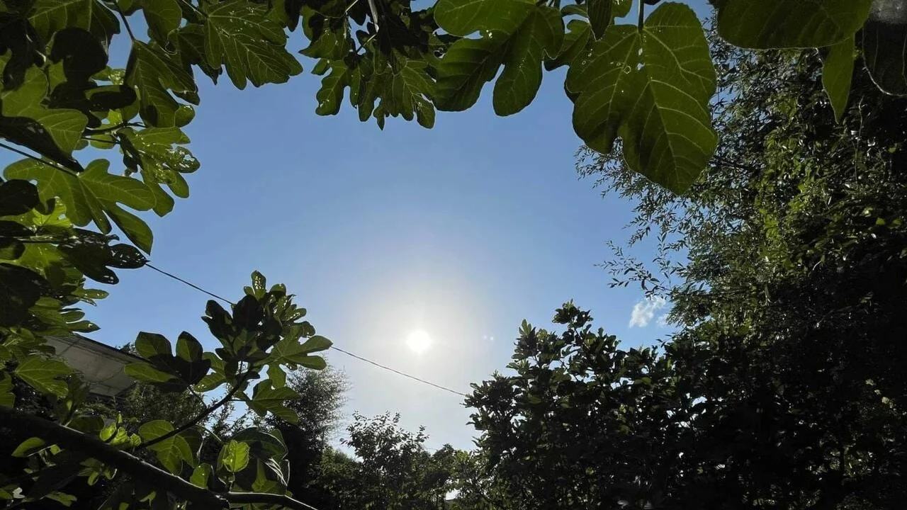 Calor em alta na Itália: picos de 40°C e possível virada a partir de 17 de agosto