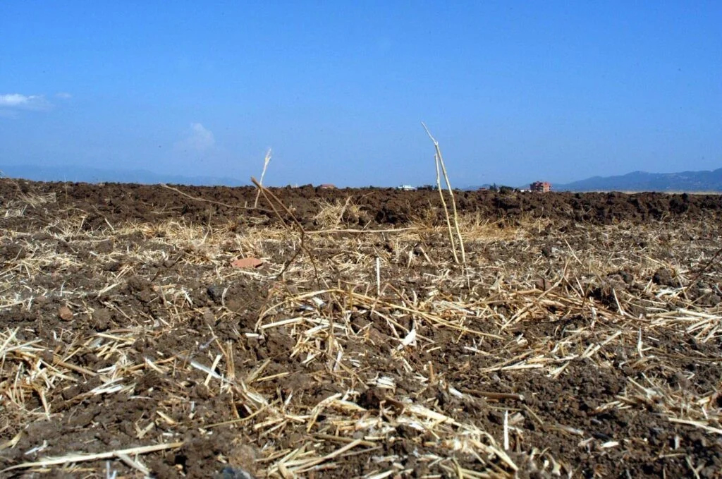 Calor extremo e seca ameaçam safras na Europa e elevam riscos para preços e inflação