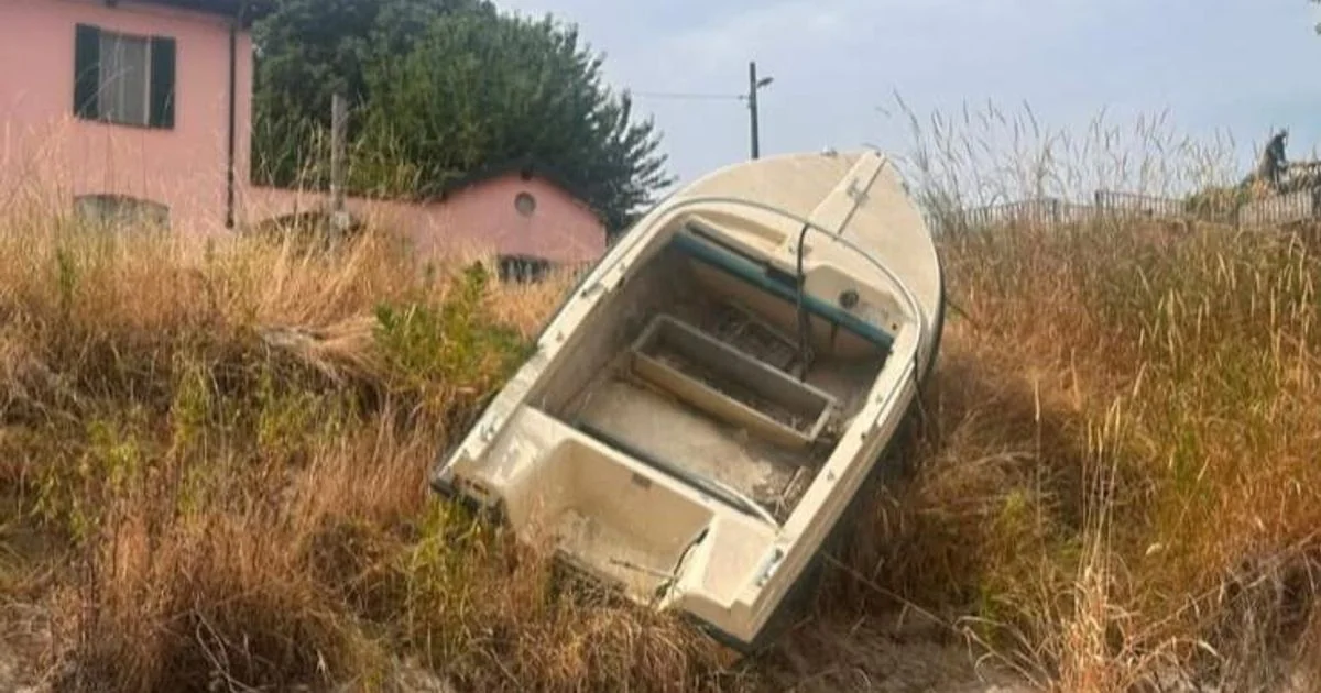 Calor extremo e seca ameaçam colheita de riso em Pavia: 'apocalipse climática' e risco de 100 milhões de euros