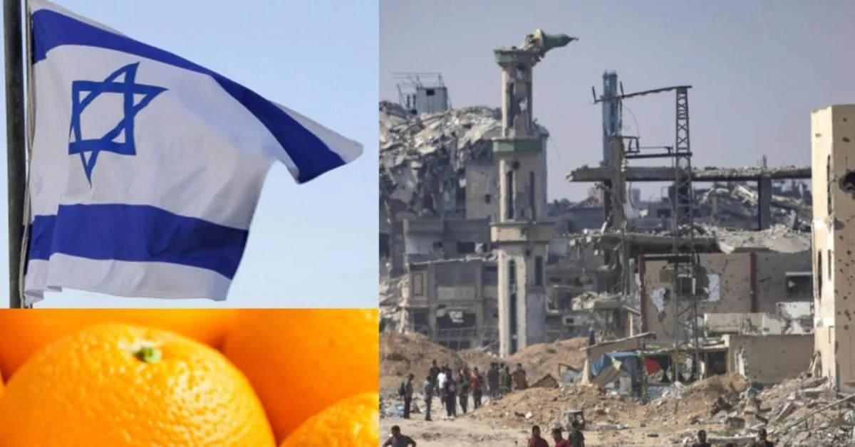 Investigação revela: quase 1 em 5 carregamentos de citrinos para a UE vem de assentamentos israelenses e chega com rótulo 'Made in Israel'