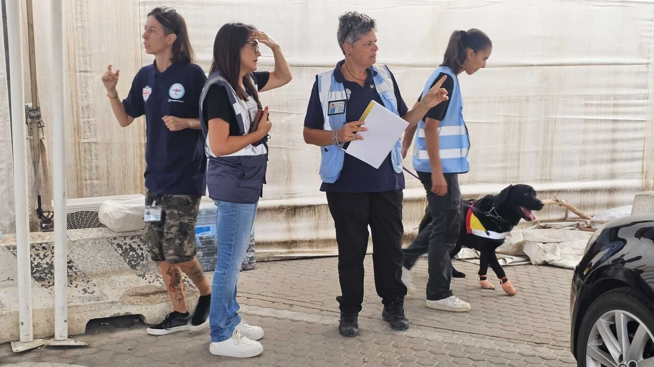 ASL de Sassari intensifica controles em Porto Torres após apreensão de carne de javali por risco de peste suína africana