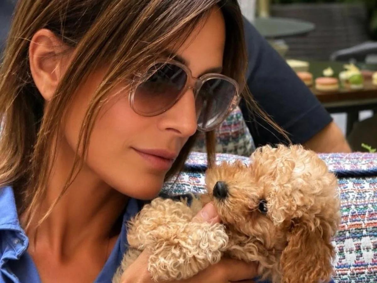 Daniela Missaglia: no tribunal defendo humanos, em casa aprendo com três cães e um gato — o respeito vem deles