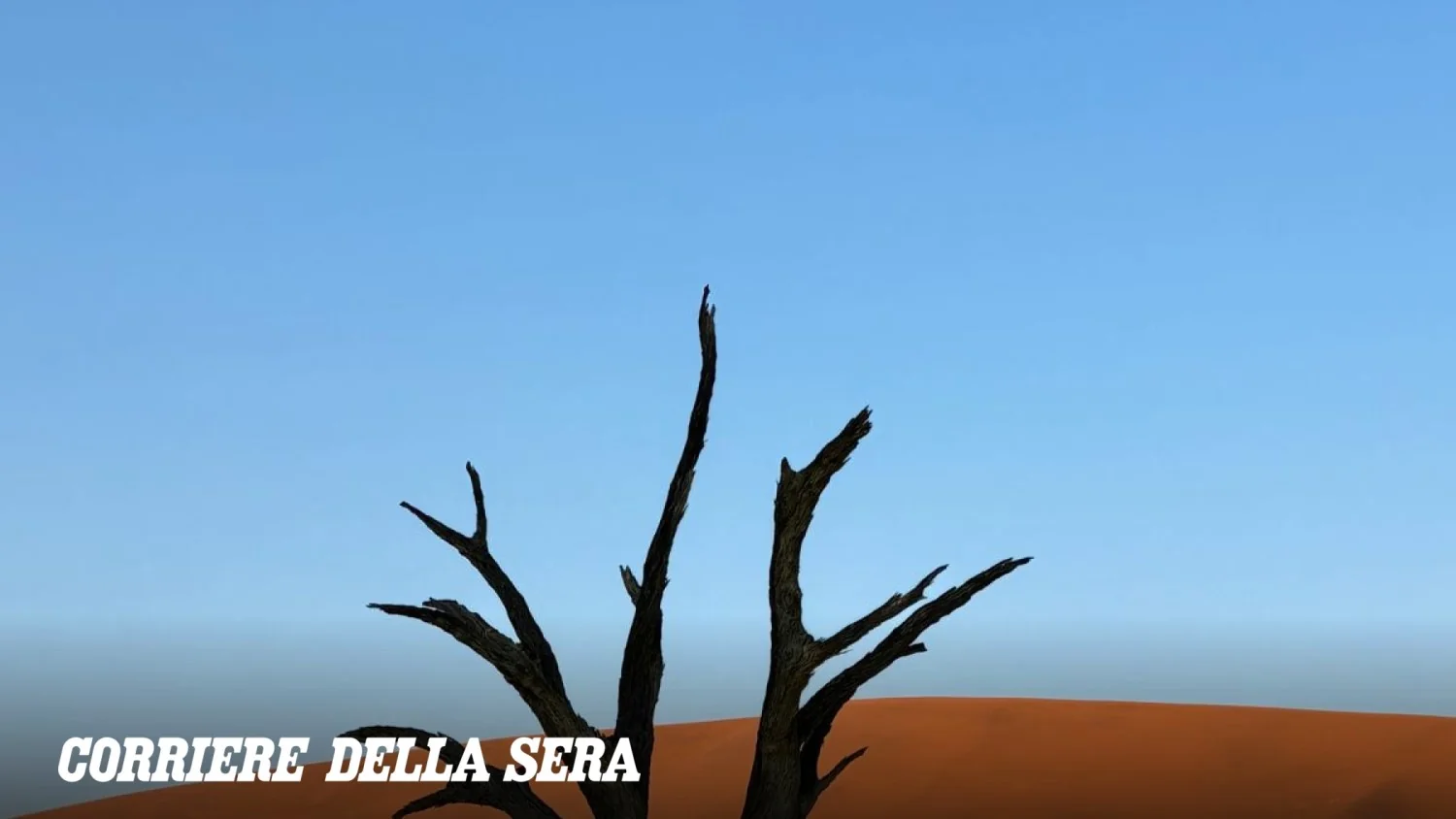 Deadvlei, Namíbia: a floresta de árvores mortas que pede proteção diante do turismo em massa