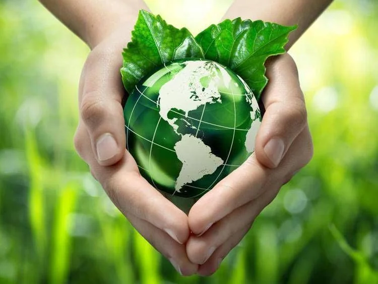 Earth Overshoot Day 2026: humanidade entra em débito com a Terra a partir de 30 de julho