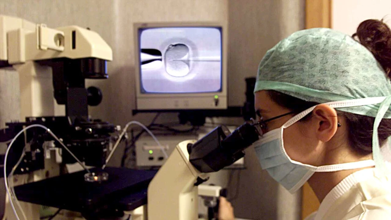 Embrião trocado em Nápoles: casal descobre que bebê implantado não é biológico