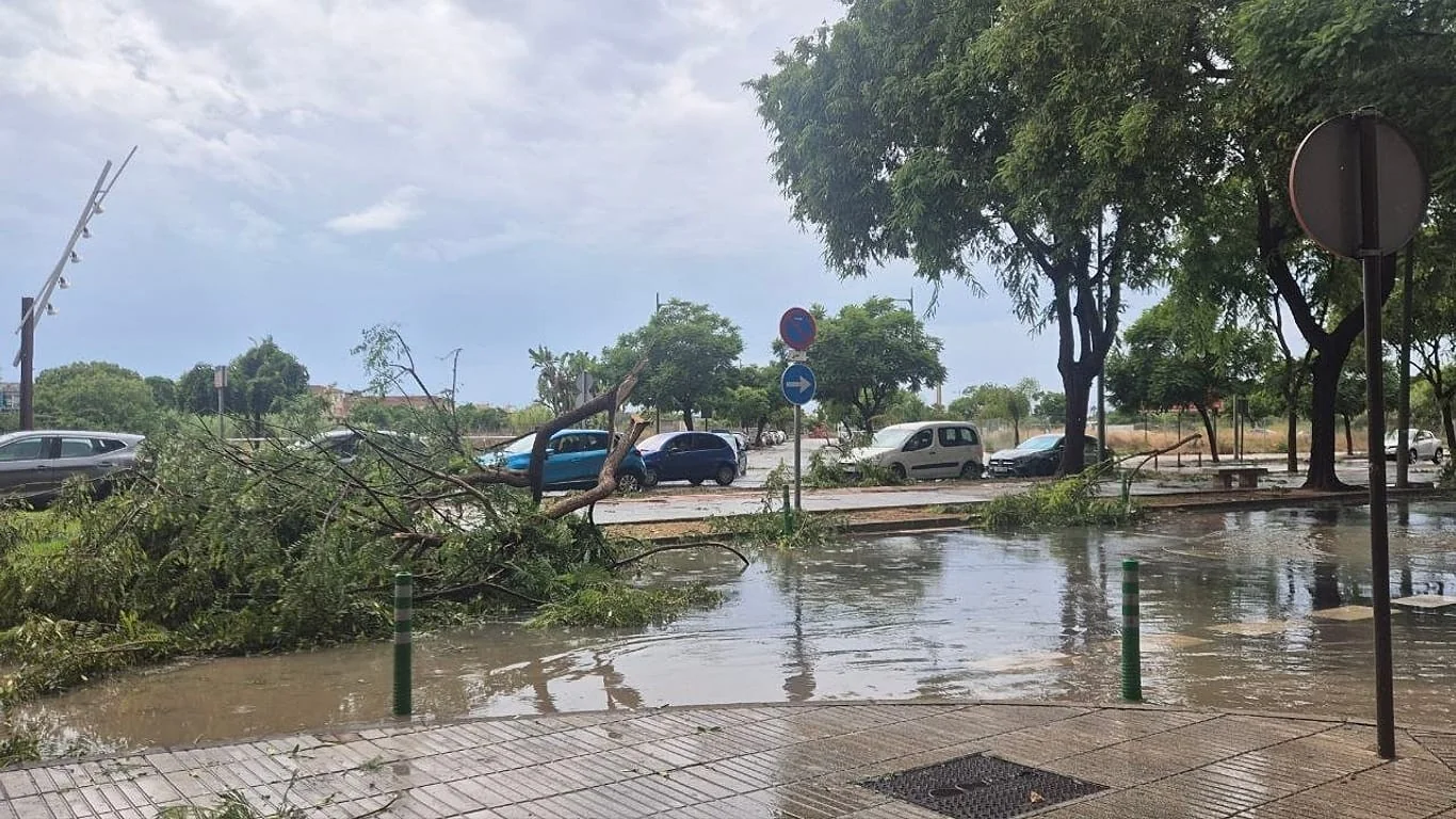 Tempestade em Valência: ventos de até 149 km/h provocam danos e paralisações