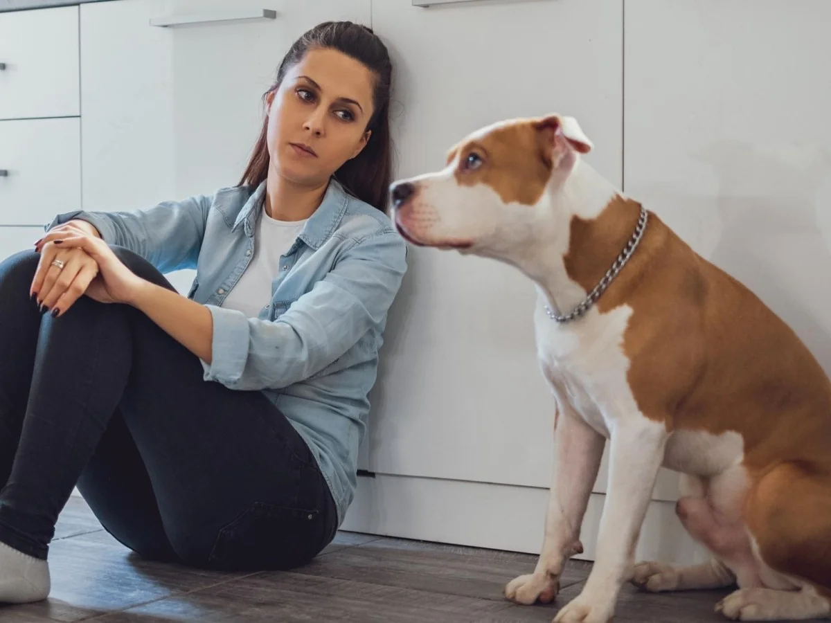 Estudo suíço revela: ter pets nem sempre melhora nossa saúde e felicidade