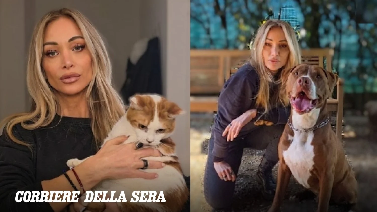 Federica Bertoni: da menina que sonhava cuidar de cangurus ao relato sobre os canis da Itália