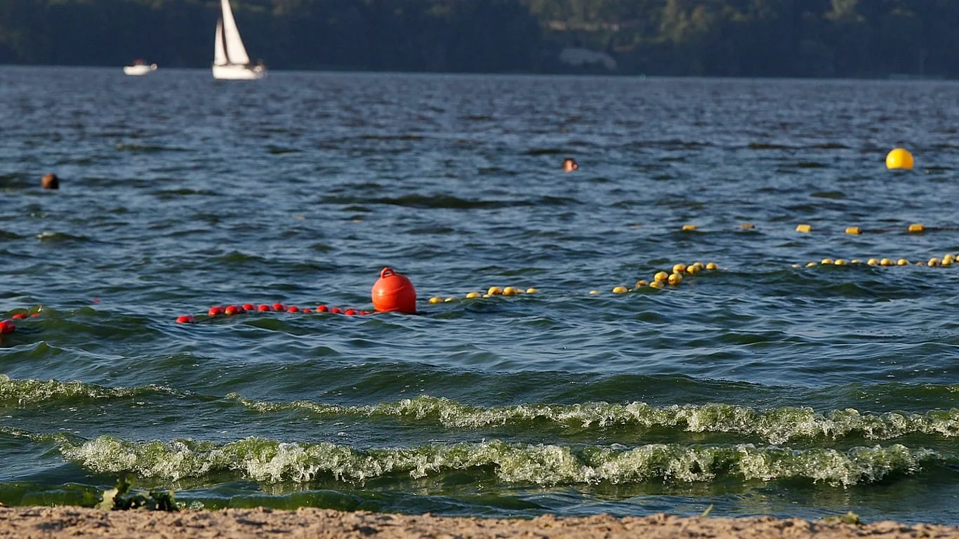 Alerta no Mar Báltico: florescimentos de algas azuis levam autoridades a desaconselhar o banho