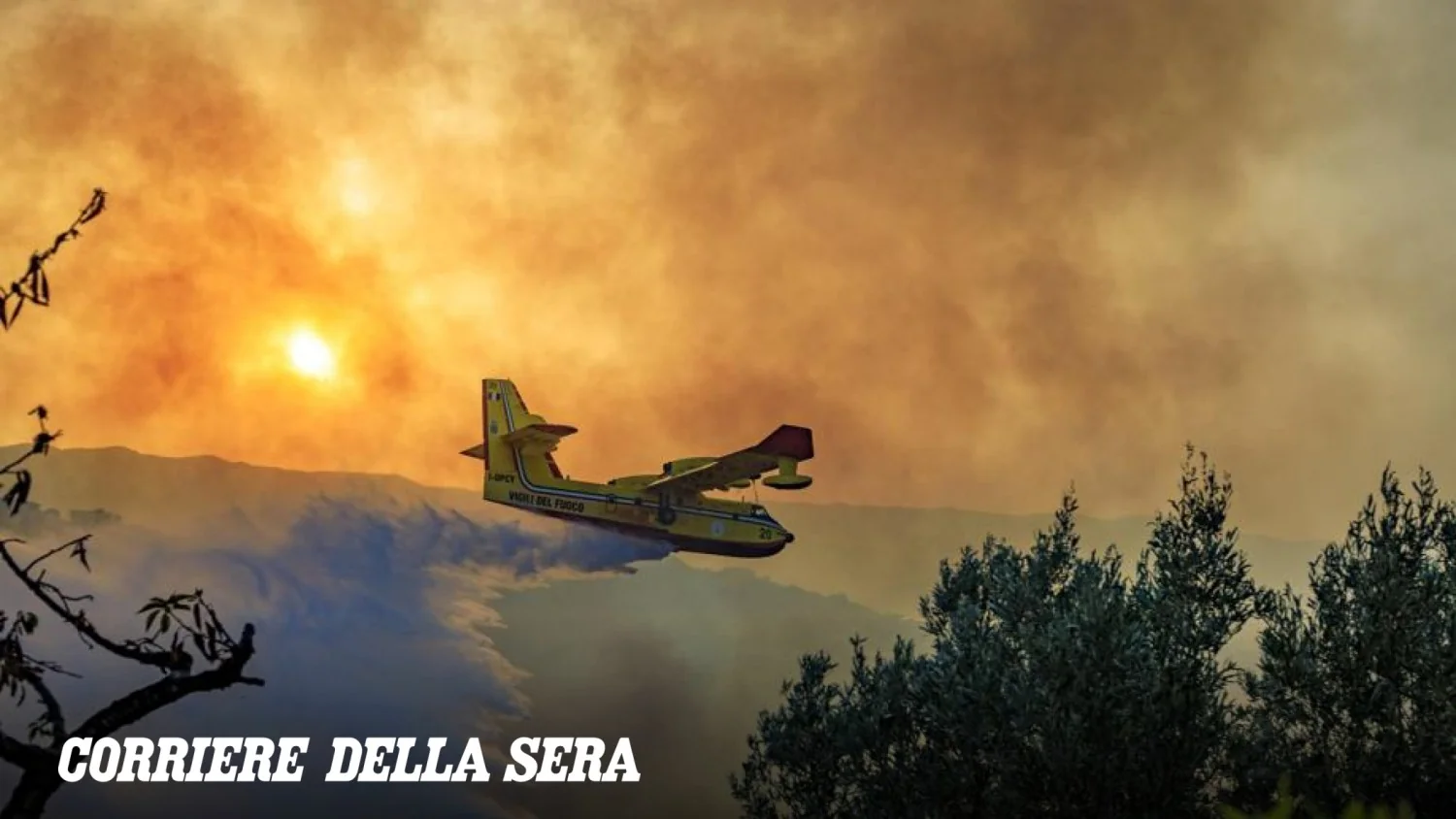 Denúncia na Calábria: gatos vivos teriam sido usados para atear incêndios florestais