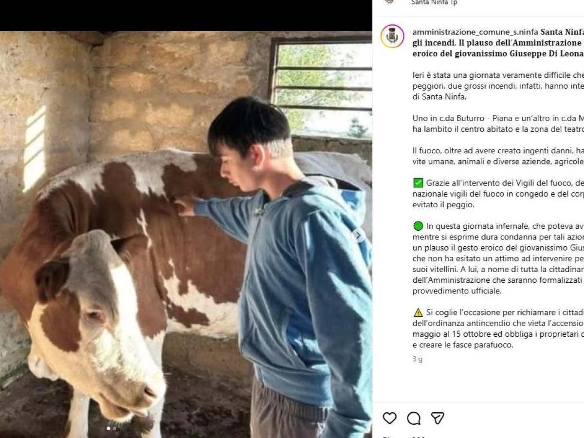 Com 14 anos, Giuseppe enfrenta chamas na Sicília e salva 5 bezerros do incêndio