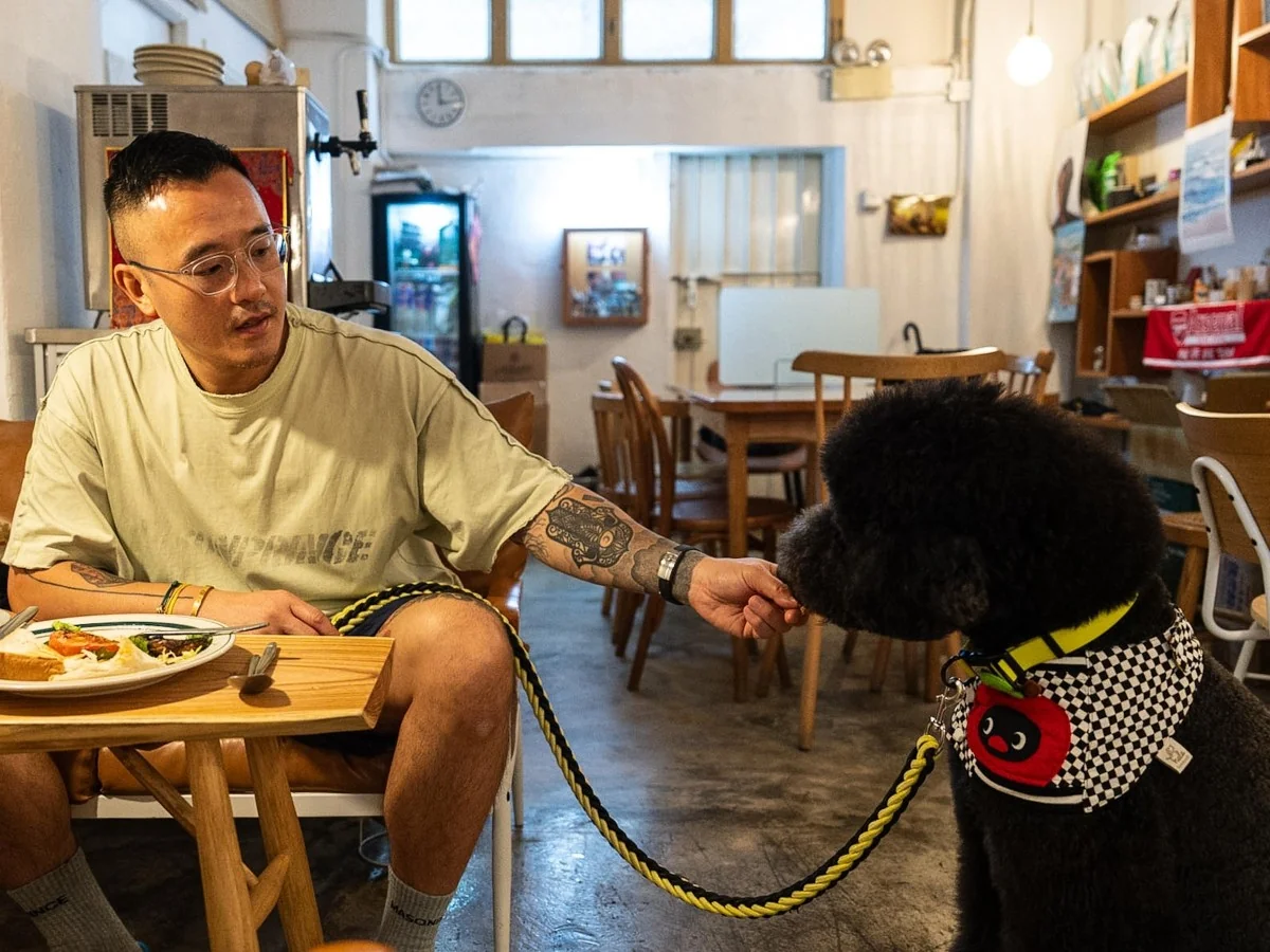 Hong Kong libera entrada de cães em restaurantes: mudança histórica para donos e animais