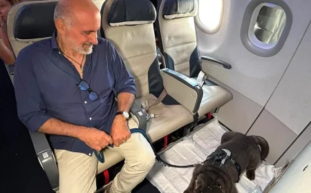 Geppino, de 29 kg, é primeiro cão de grande porte a viajar na cabine da ITA Airways
