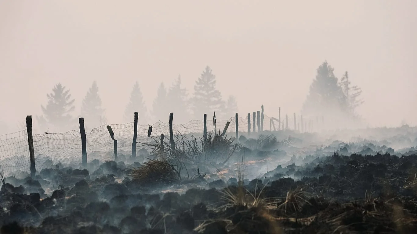 Incêndio nas Hautes Fagnes: fogo 'circundado' mas frente junto à Alemanha ainda preocupa