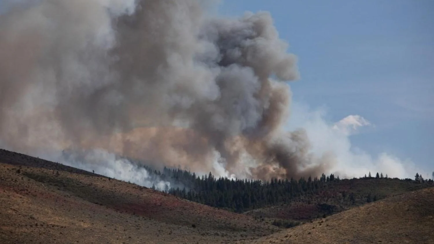 Incêndio 'Hawk' atinge o Nevada: quase 90 mil evacuados e risco a Reno