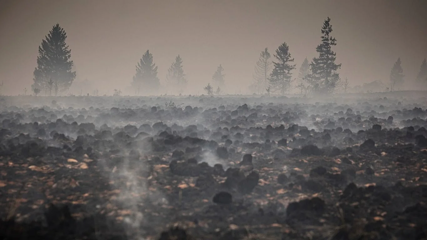 Incêndio nas High Fens: o maior fogo do século na Bélgica é declarado sob controle