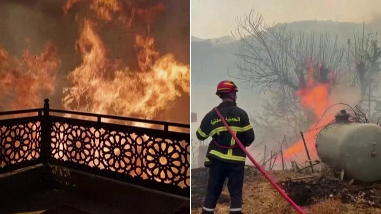 Incêndios na Argélia: pelo menos 69 mortos e país em luto nacional após chamas alimentadas pelo scirocco
