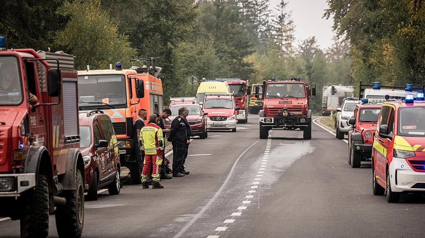 Incêndios na Europa: Bélgica registra o maior fogo da sua história em Hautes Fagnes