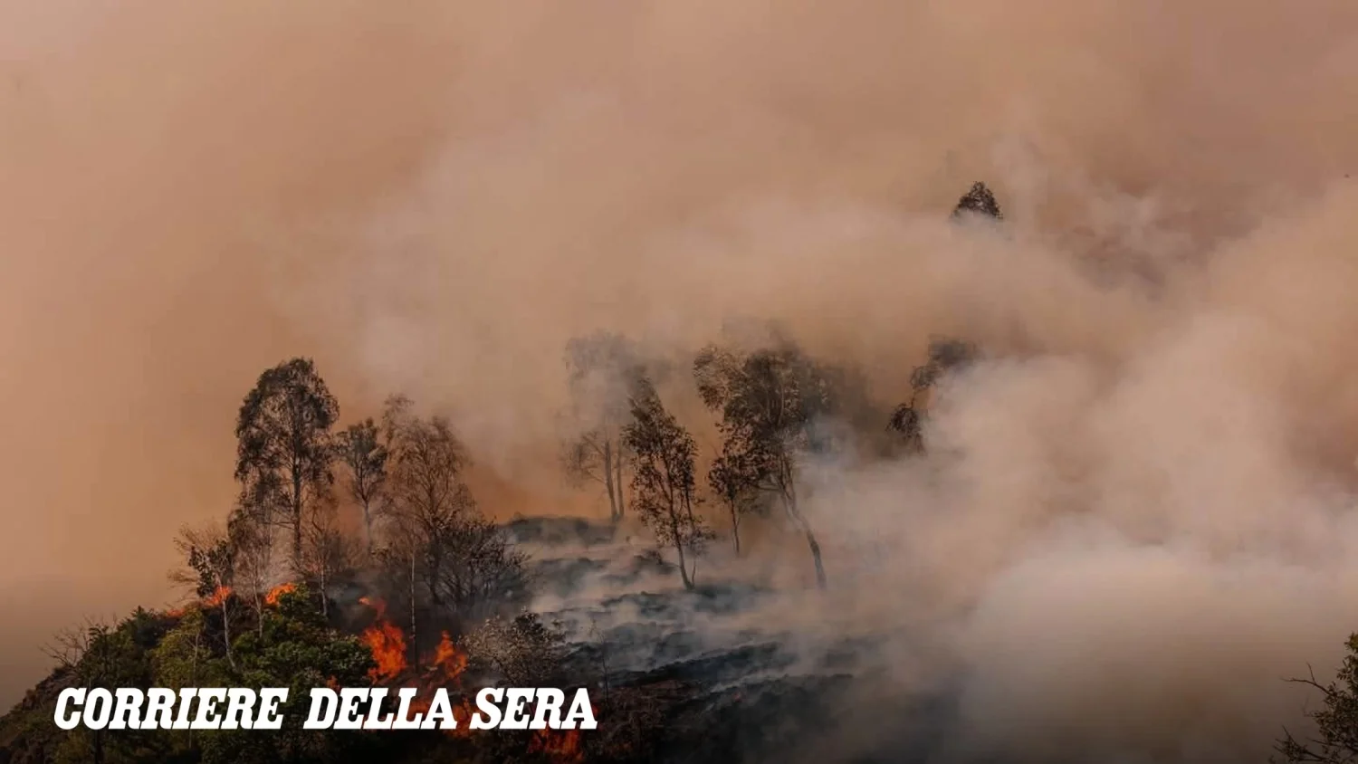 Incêndios florestais: Itália já perdeu área equivalente a 13.368 campos de futebol em 2026; +36% em relação a 2025