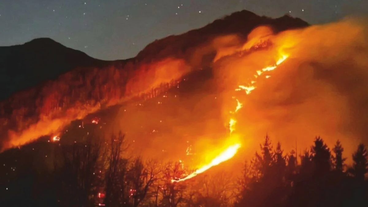 Incêndios na Itália: o abandono agrícola e a falta de gestão que alimentam o fogo