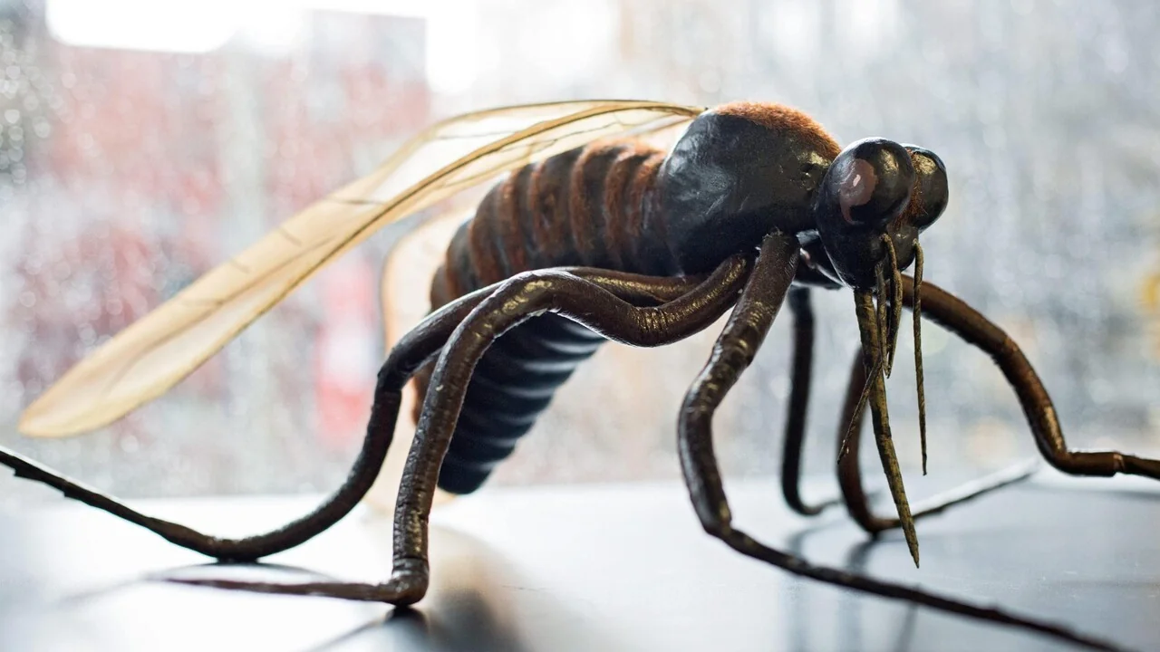 Itália registra 226 casos confirmados de West Nile em 2026 e 7 mortes, alerta ISS