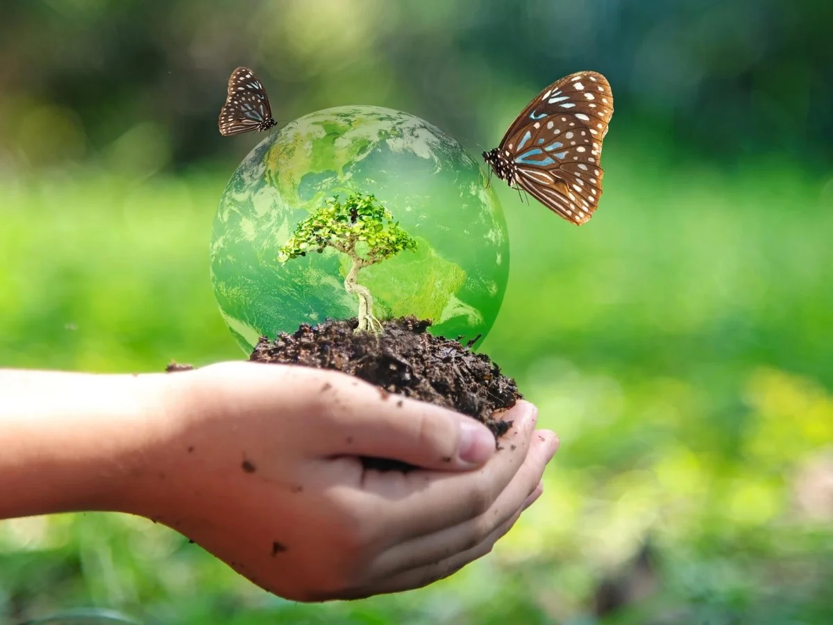 Itália lidera entre nações ocidentais em compromisso ambiental, mas perda de biodiversidade fica fora das prioridades