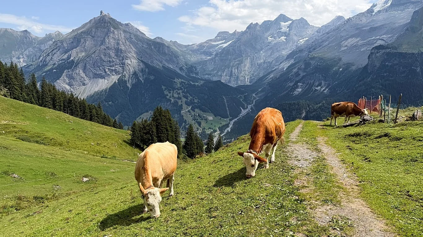 Kandersteg em risco: derretimento das geleiras ameaça vila alpina suíça