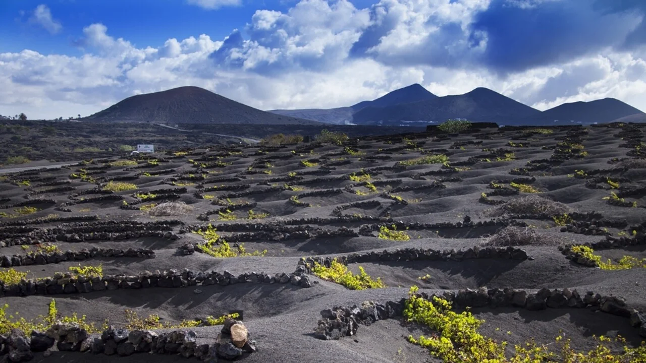 Lanzarote: onde vulcões, vento e oceano se transformam em sabores únicos