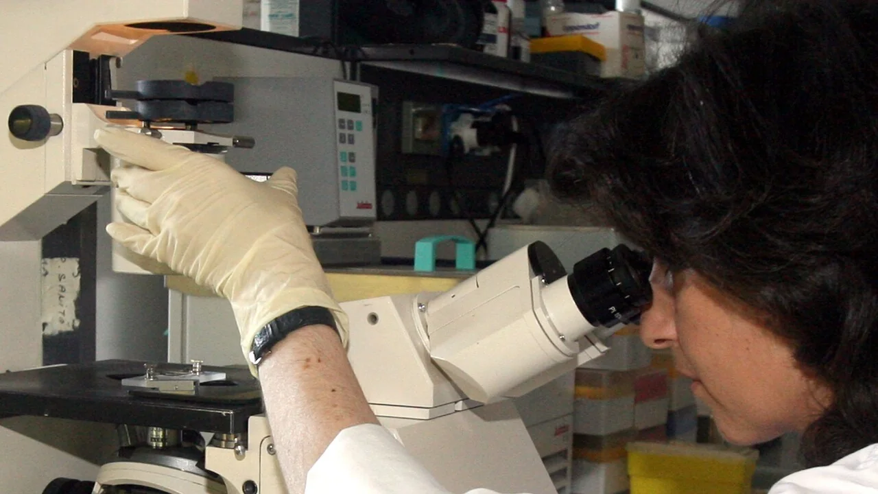 Descoberta em Pádua: primeiras pistas do Parkinson surgem nas sinapses pela ação da proteína Lrrk2