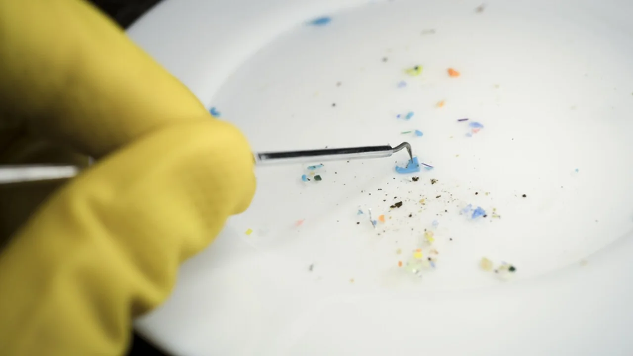 Estudo da Unimore detecta micro e nanoplásticos no sistema nervoso e associa níveis elevados à Sla