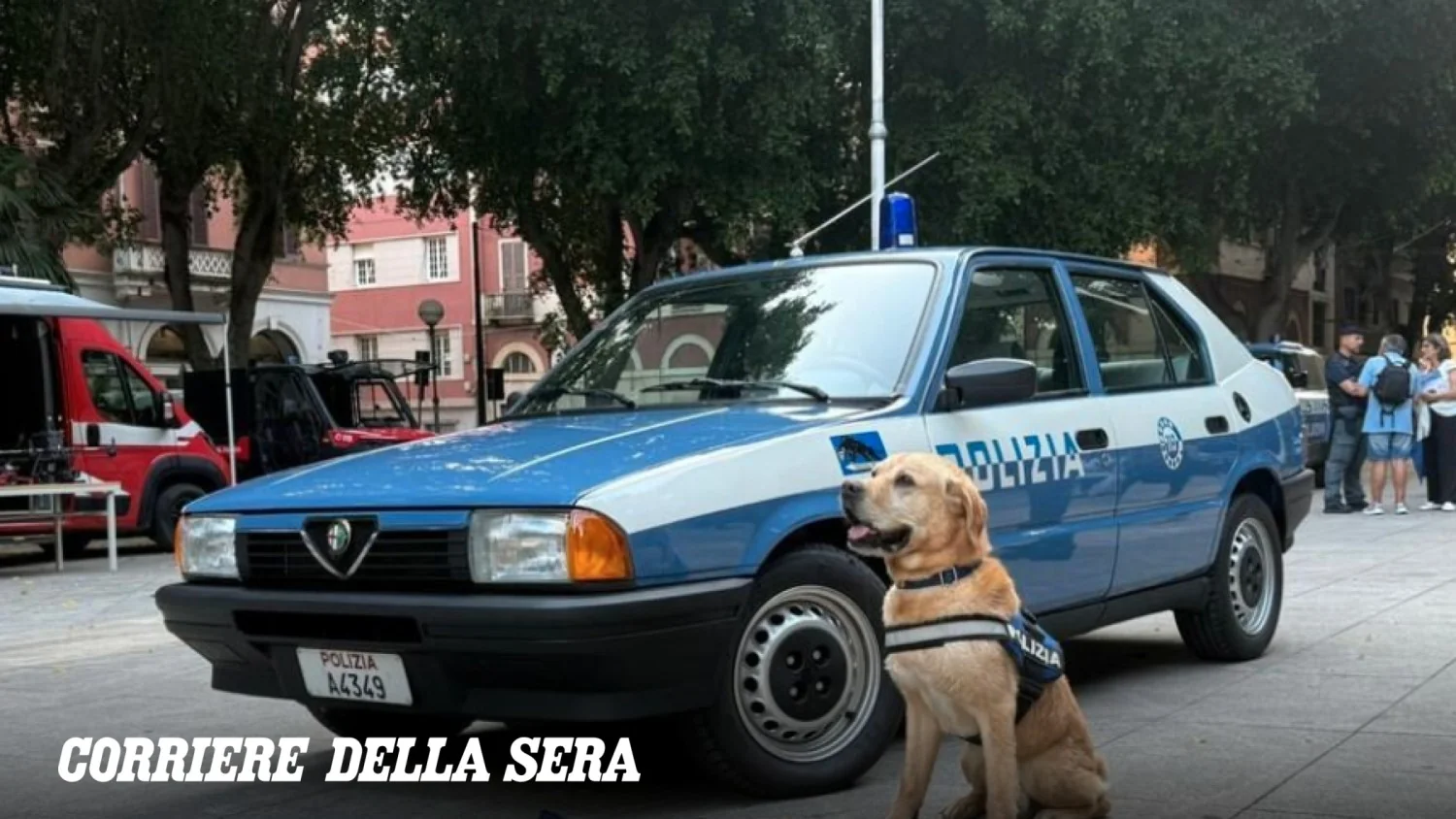 Morre Aaron, o labrador anti-explosivos que protegeu grandes eventos e se aposentou em 2026