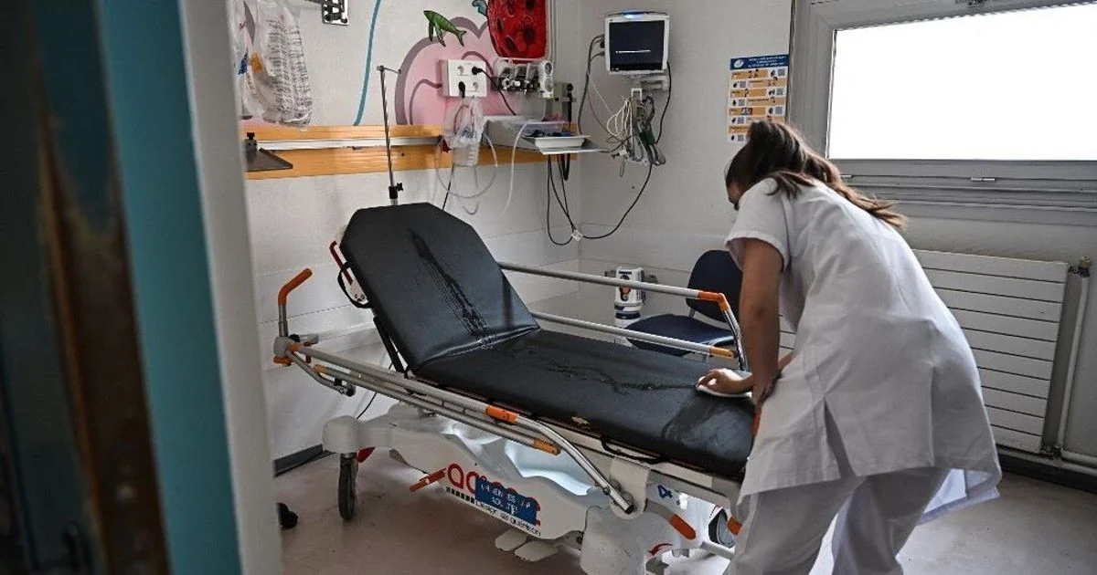 Mattia Maestri morre aos 13 anos após nove anos em coma por infecção ligada a queijo de leite cru