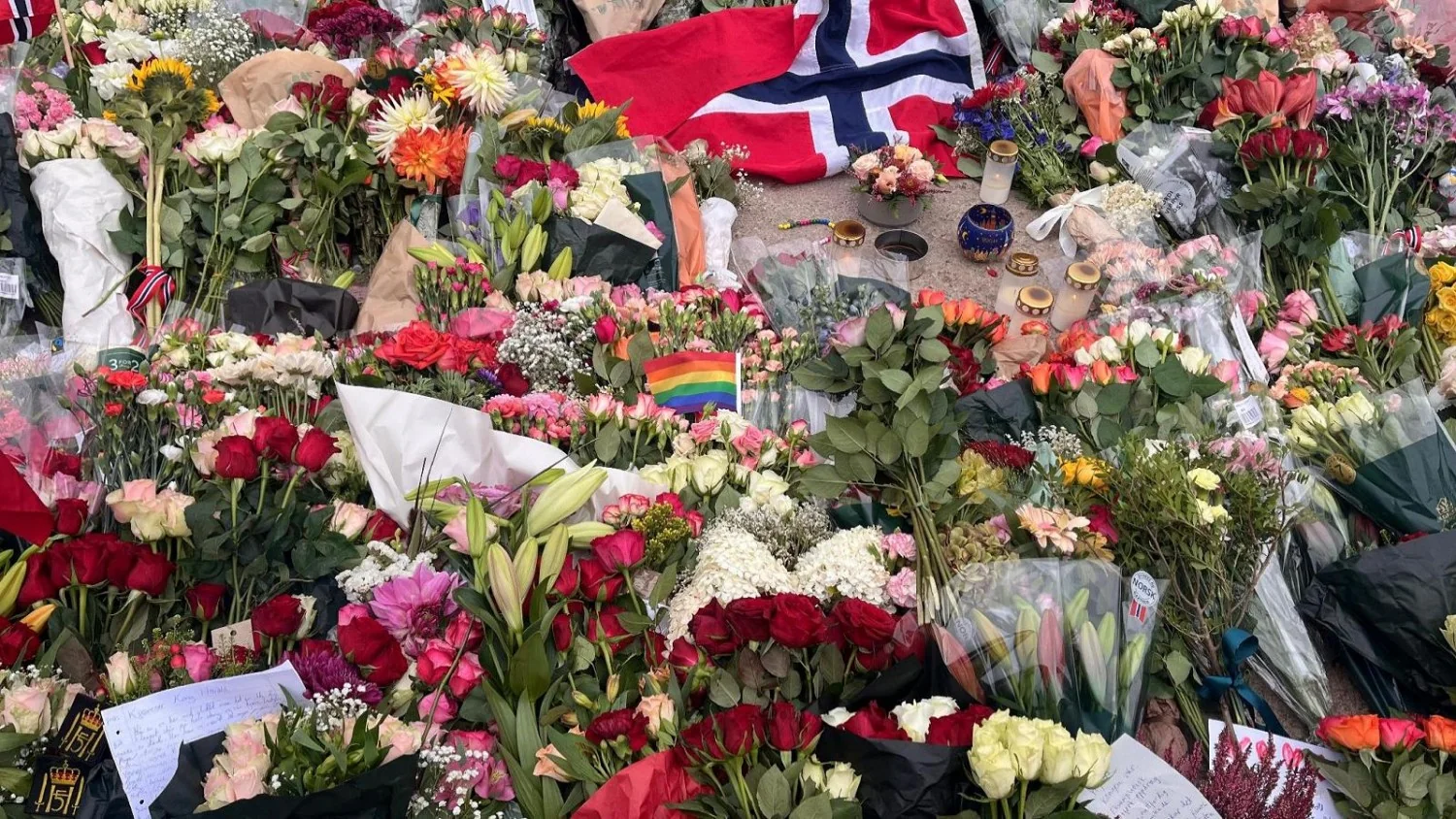 Morte do Rei Harald V: súditos prestam homenagem em frente ao Palácio Real de Oslo