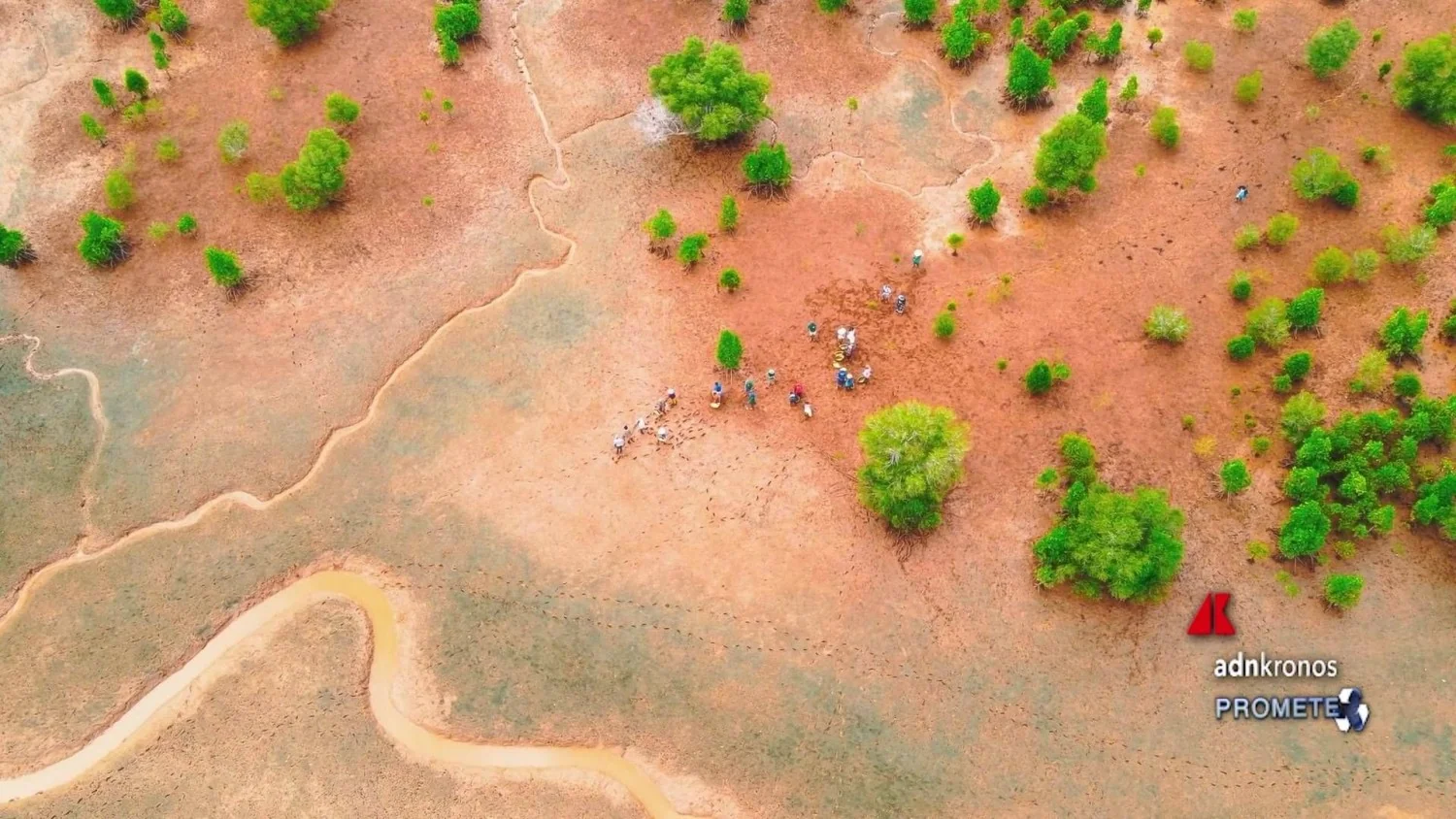 Neya, do Grupo Mundys, amplia projeto e planta quase 2.500 hectares de manguezais em Madagascar