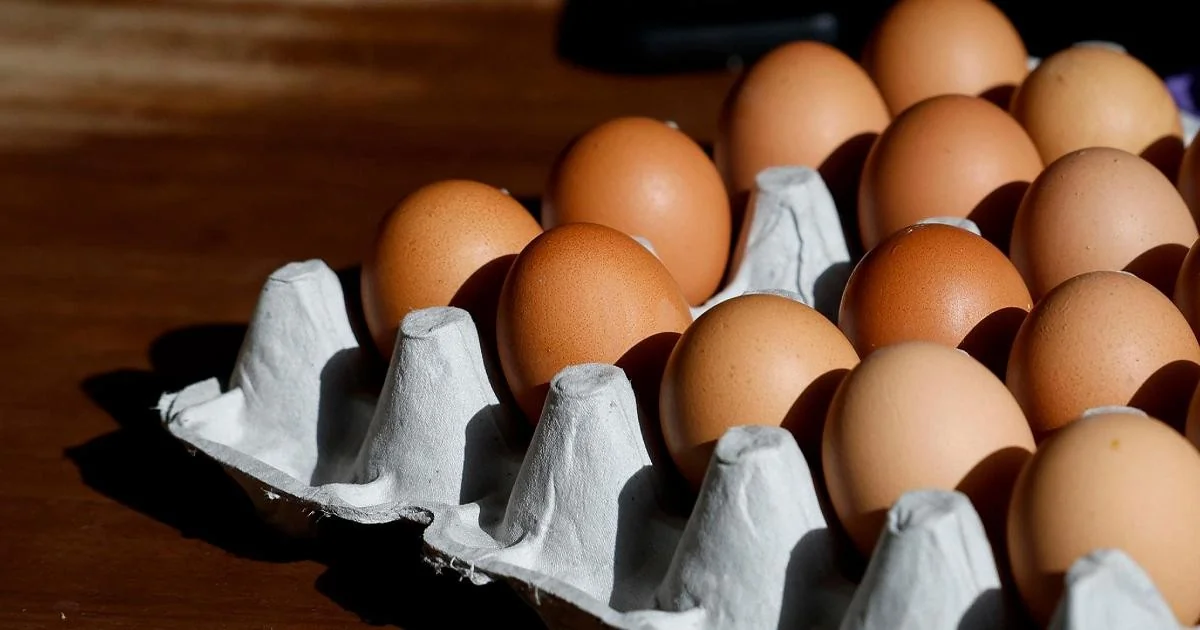 Lote de ovos Delizie del Sole é recolhido por risco de Salmonella Enteritidis