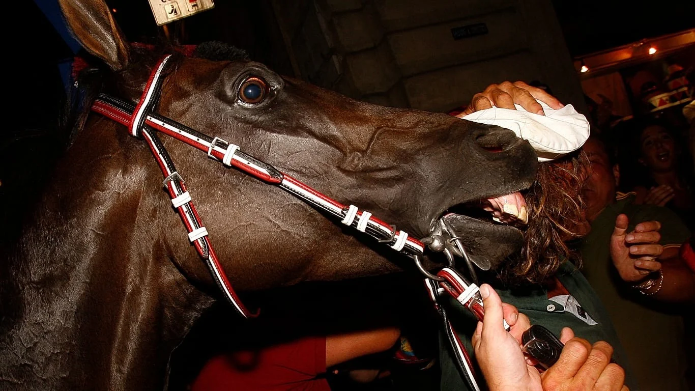 Palio di Siena 16 de agosto: reforço drástico de segurança entre pressões sobre os cavalos