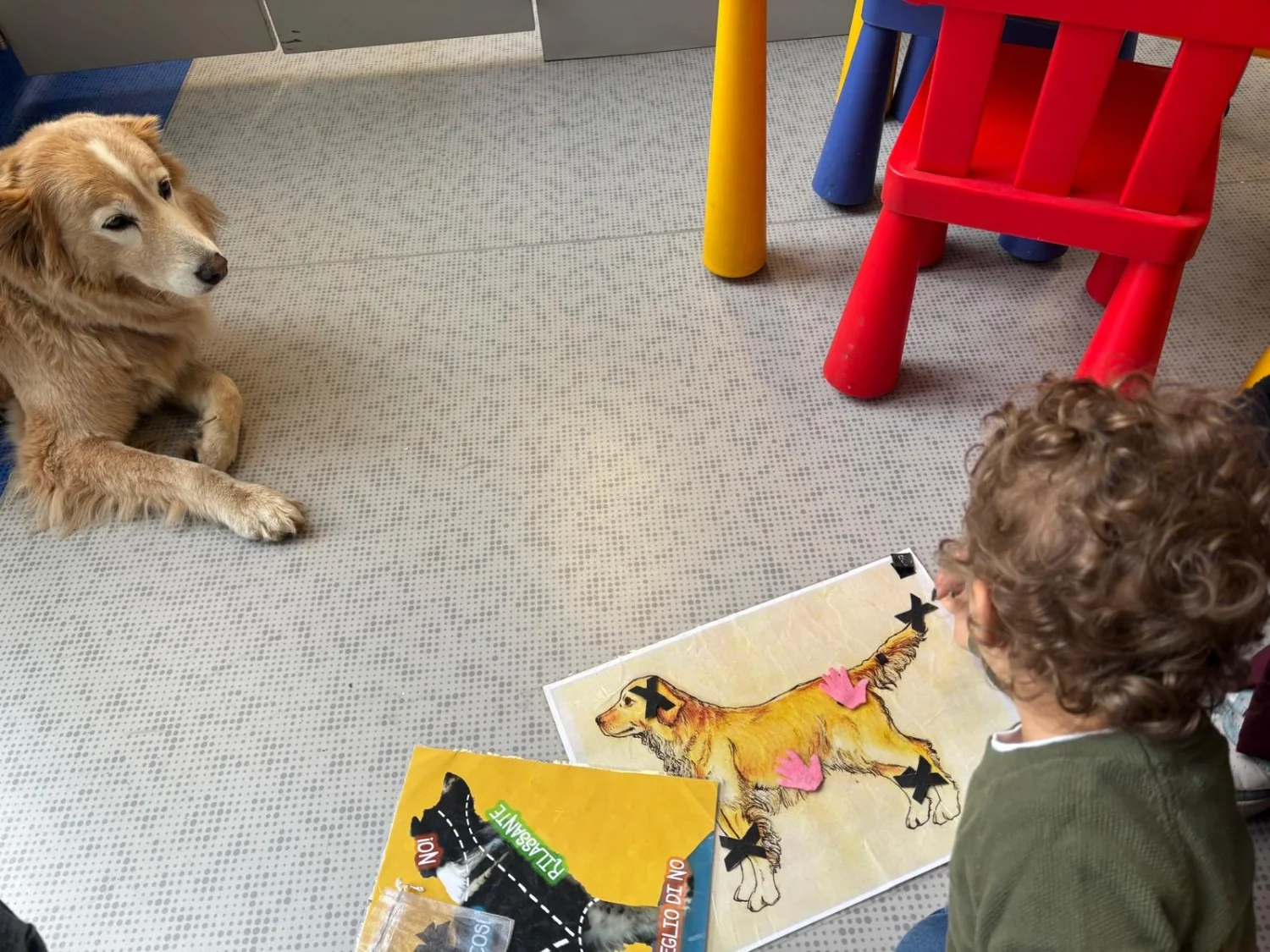 Cães na ala pediátrica iluminam tratamentos: como a pet therapy ajuda crianças no Fatebenefratelli de Milão