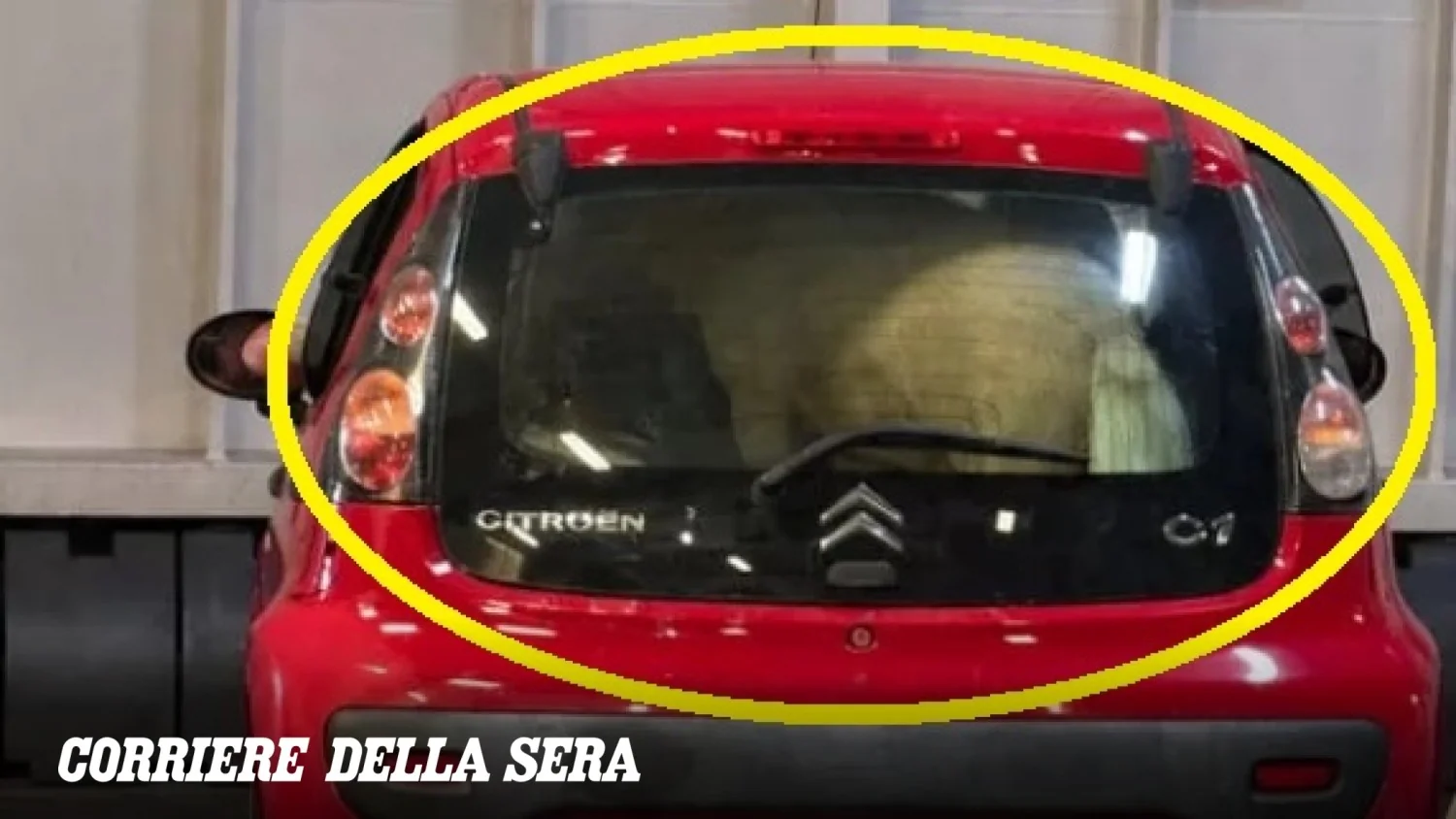 Denúncia em alto-mar: pony embarcado no porta‑malas de carro rumo a Ischia; autoridades exigem apuração