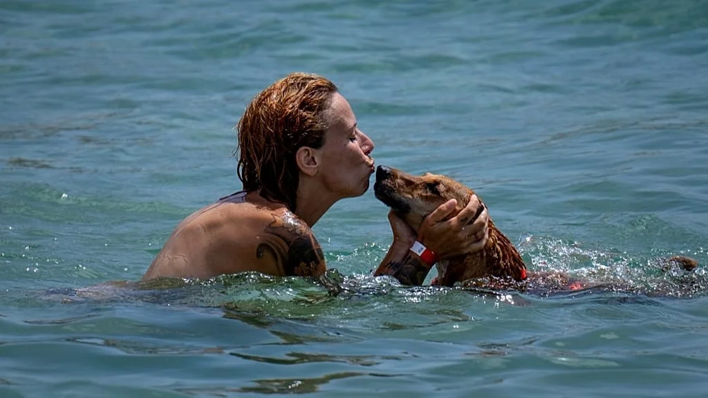 Guia 2026: Onde ir com seu cão — mapa das melhores praias para cães na Espanha