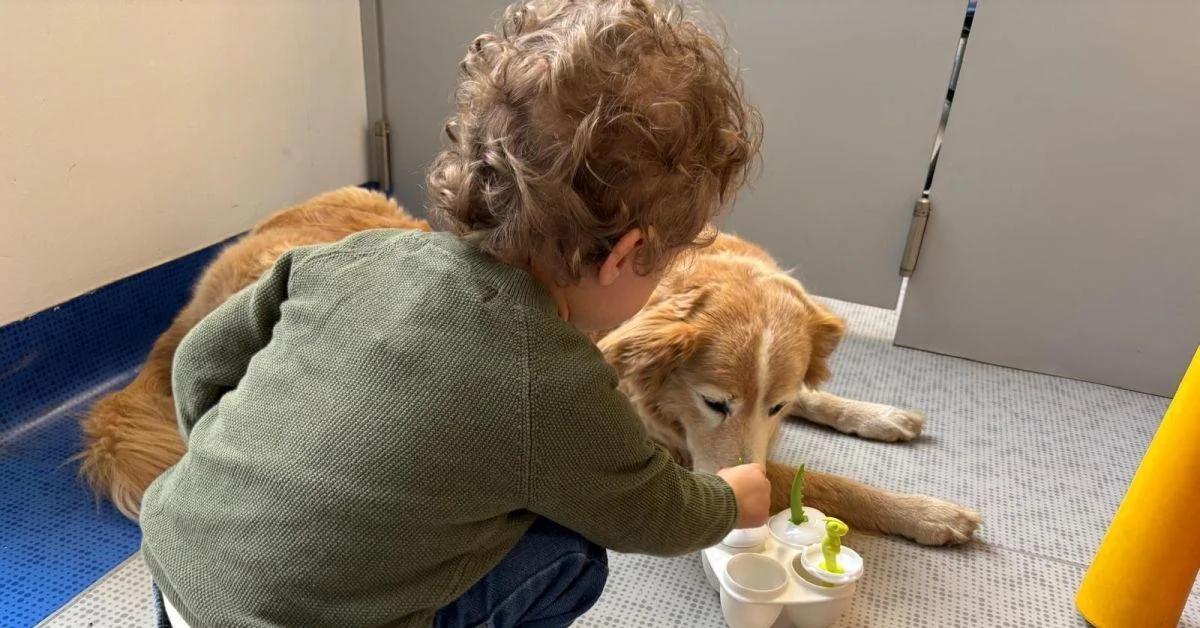 Purina e Frida's Friends: pet therapy transforma a rotina da Neurologia Pediátrica do Fatebenefratelli em Milão