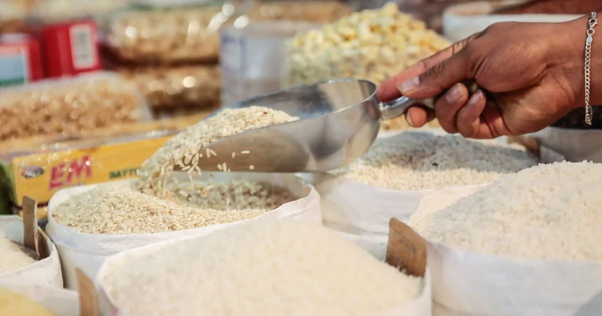 Queda do preço do arroz italiano pressiona produtores diante da invasão de importados