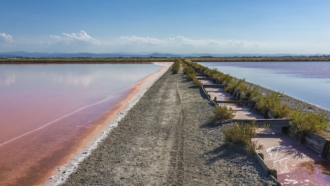 Sapore di Sale 2026: Cervia celebra o precioso Sale Dolce entre tradição e sabor