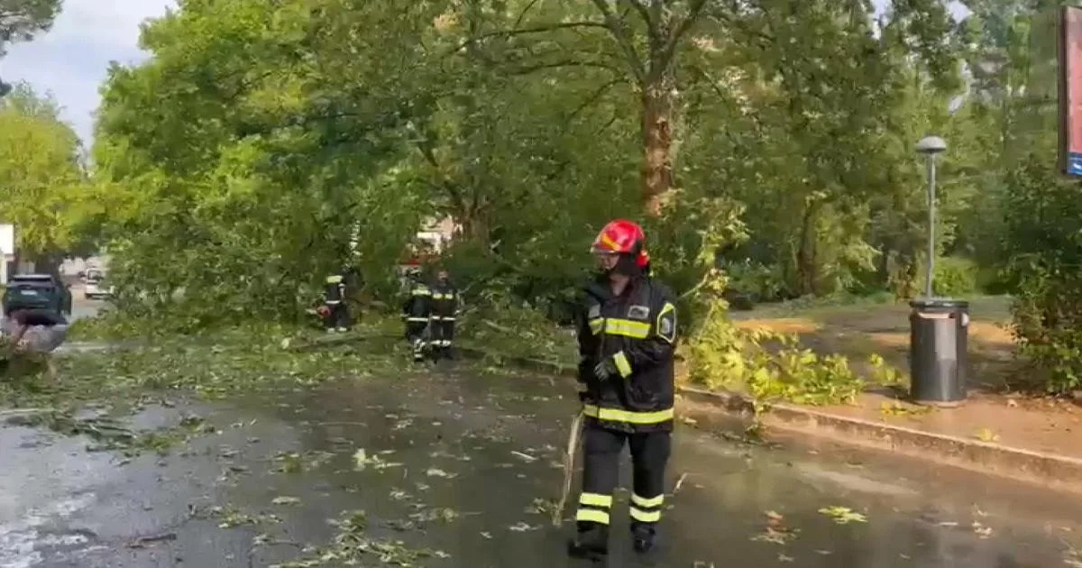 Temporal violento atinge Perugia, Orvietano e Valnerina; árvores danificam carros, sem feridos