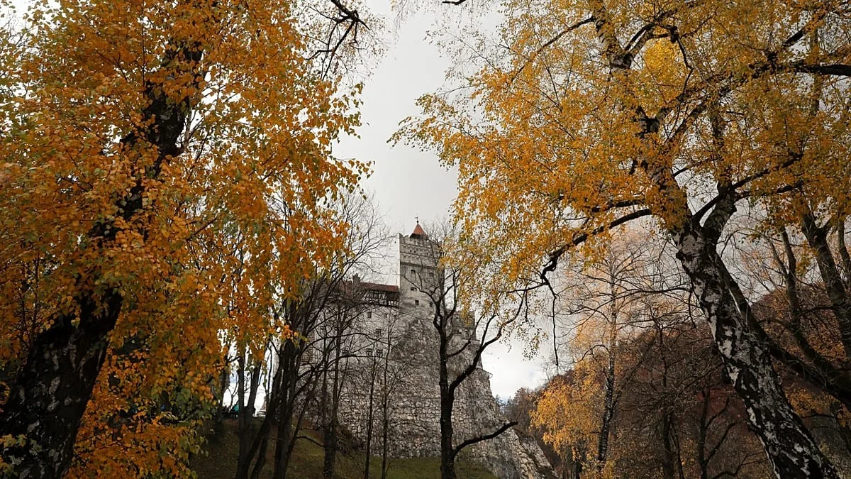 Tesouro cultural no Castelo de Bran: 40 edições da Nuova Antologia possivelmente da Rainha Maria