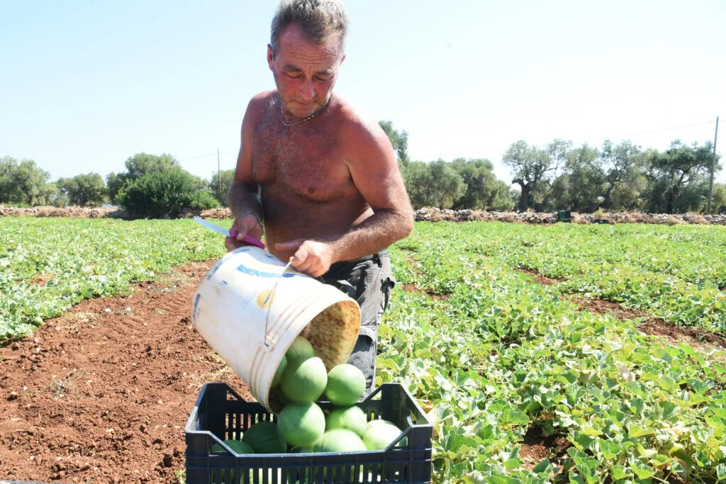 Verão 2026 expõe fracasso da UE em medidas anti-calor no trabalho: lacunas normativas e risco para trabalhadores