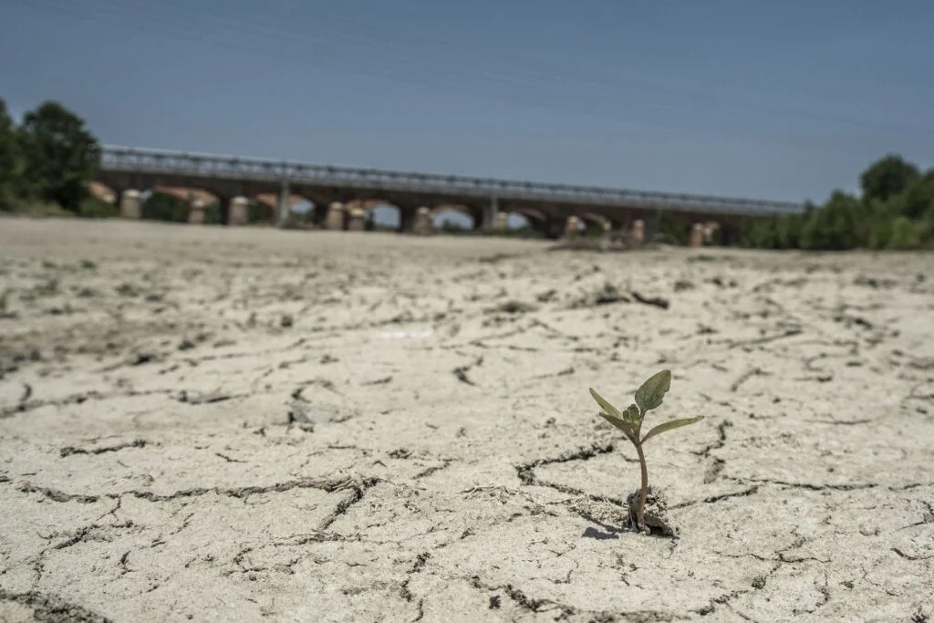 UE garante fornecimentos de energia estáveis apesar do calor extremo, afirma Comissão