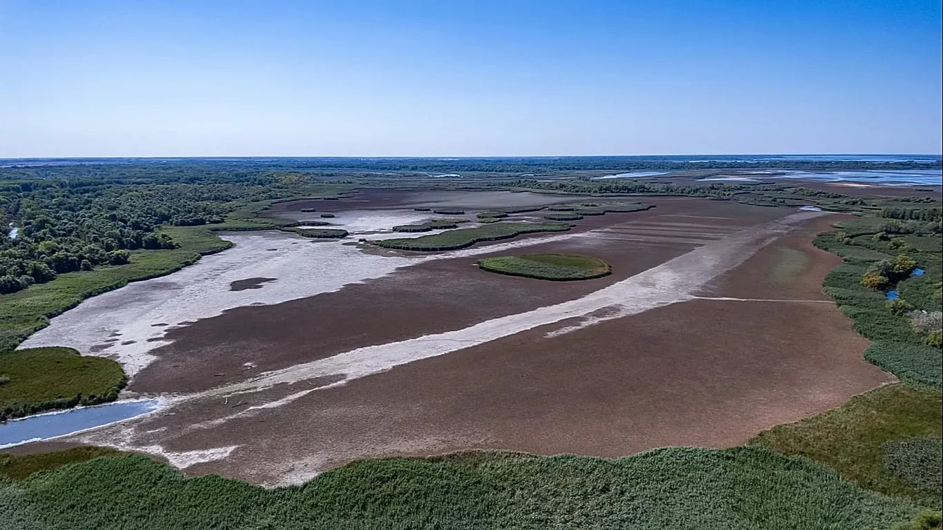 UE sob pressão: investir na restauração da natureza e cobrir o gap de 65 bilhões de euros ao ano
